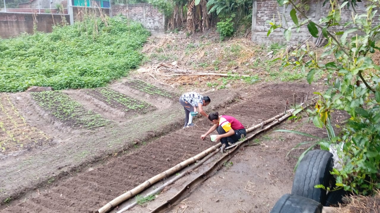 Cultivando salud