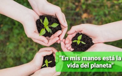 En mis manos está la vida del planeta
