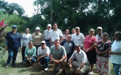 Cultivando salud